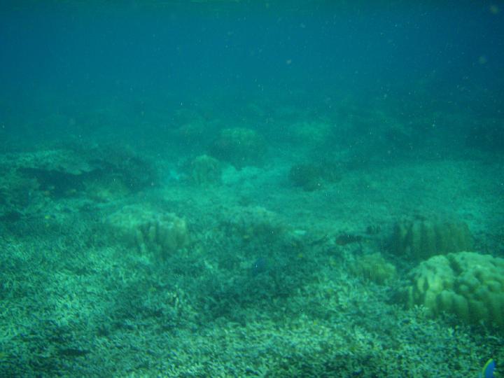 Anaconda hp 149.jpg